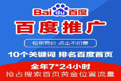 某电商平台的SEM策略与效果展示
